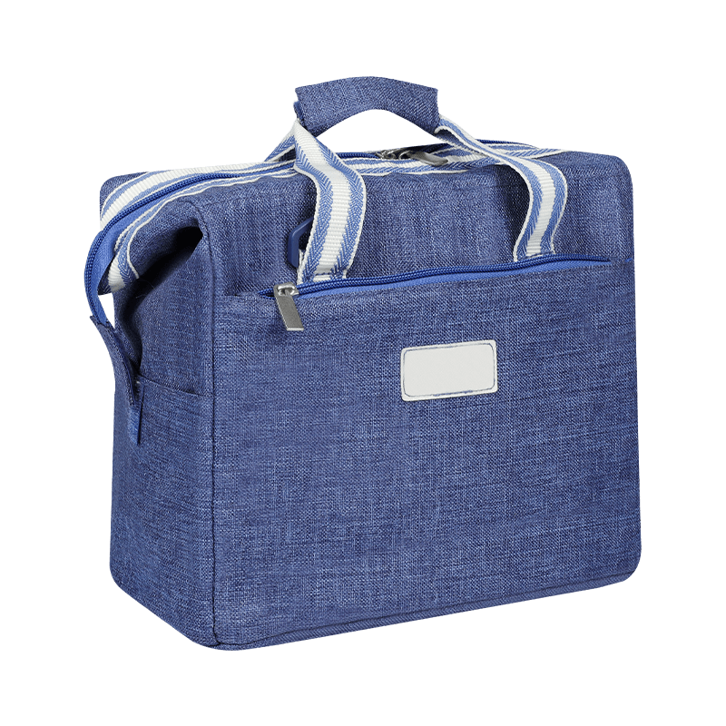 Essential Guide ad eligendum et ordinandum tuum Medicamine Bag